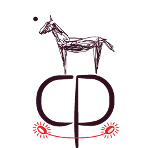 Claudia Pollack REAL VIBE ART